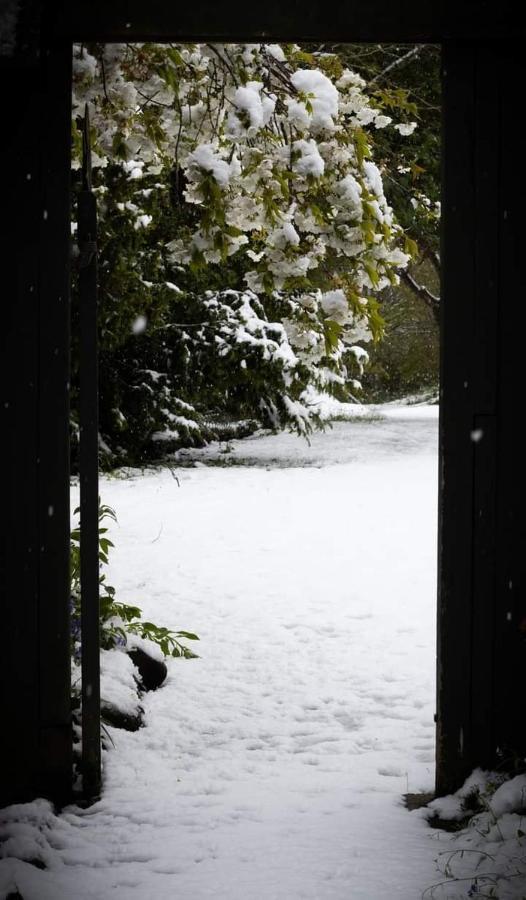 Arden Country House Bnb - Entire House To Yourself -Peace In The Country 但尼丁 外观 照片