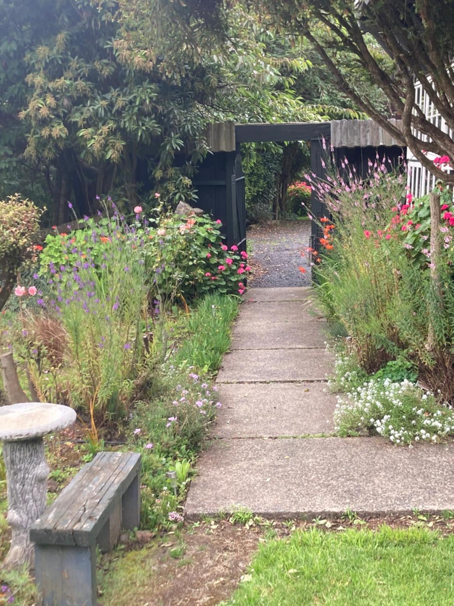 Arden Country House Bnb - Entire House To Yourself -Peace In The Country 但尼丁 外观 照片