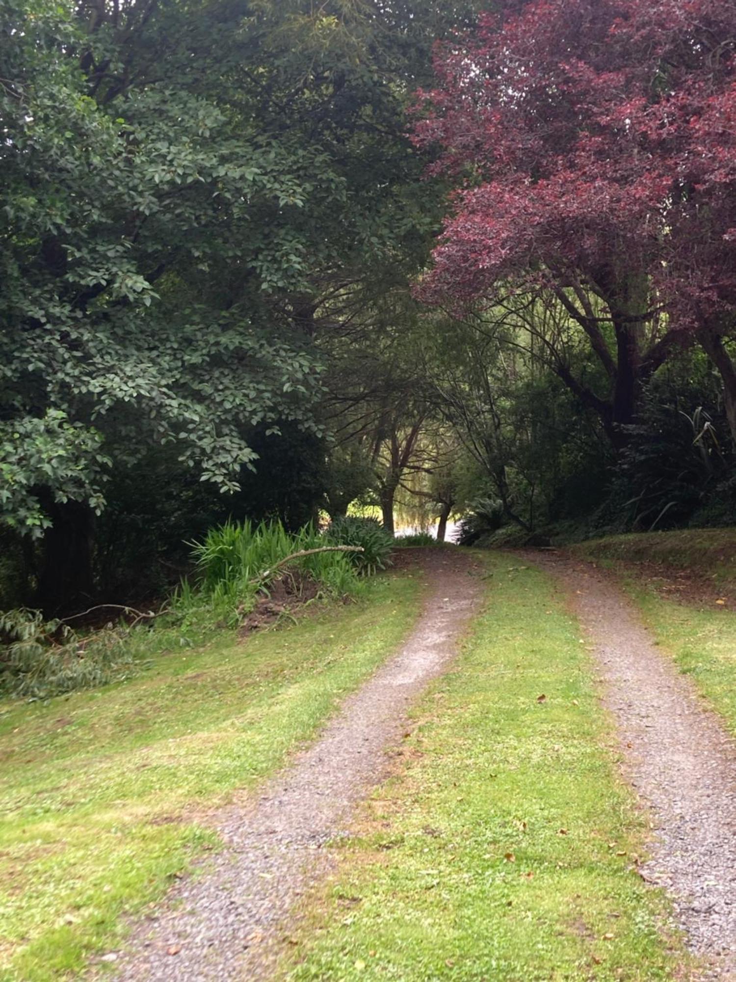 Arden Country House Bnb - Entire House To Yourself -Peace In The Country 但尼丁 外观 照片